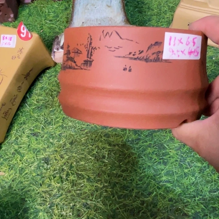 红陶20CM(含)-50CM(不含)