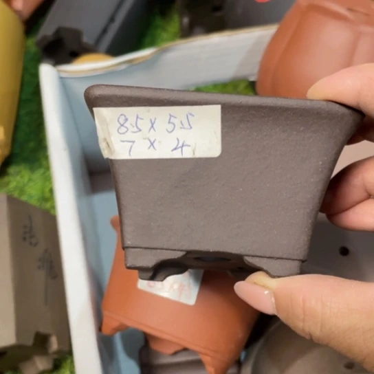 紫砂20CM（含）-50CM（不含）