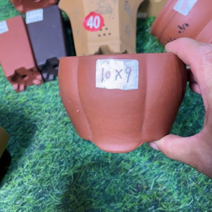 紫砂20CM（含）-50CM（不含）