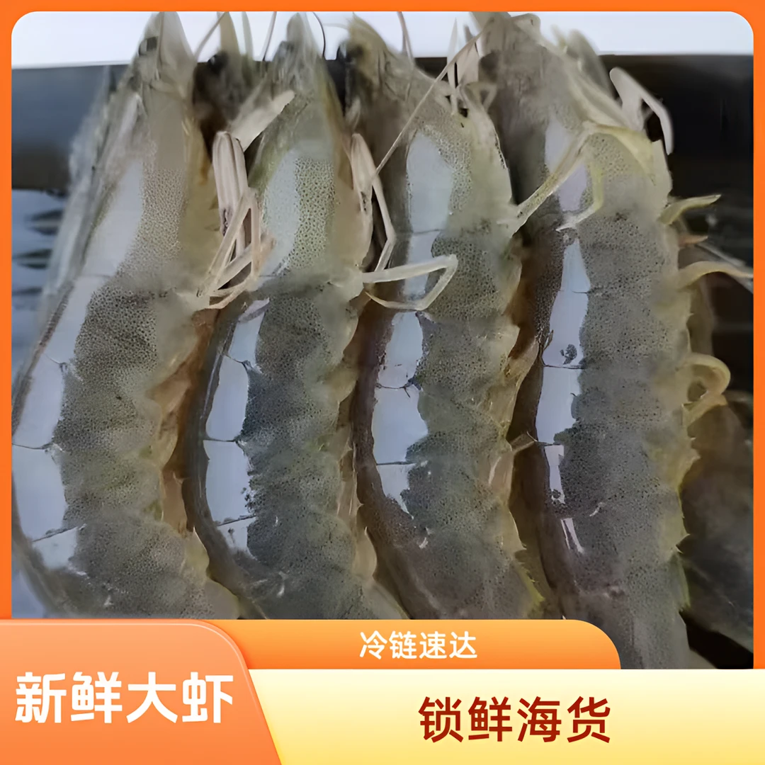 新鲜盐冻锁鲜海水大虾 500g/一斤12只左右（净重3.5斤）冷链运发货