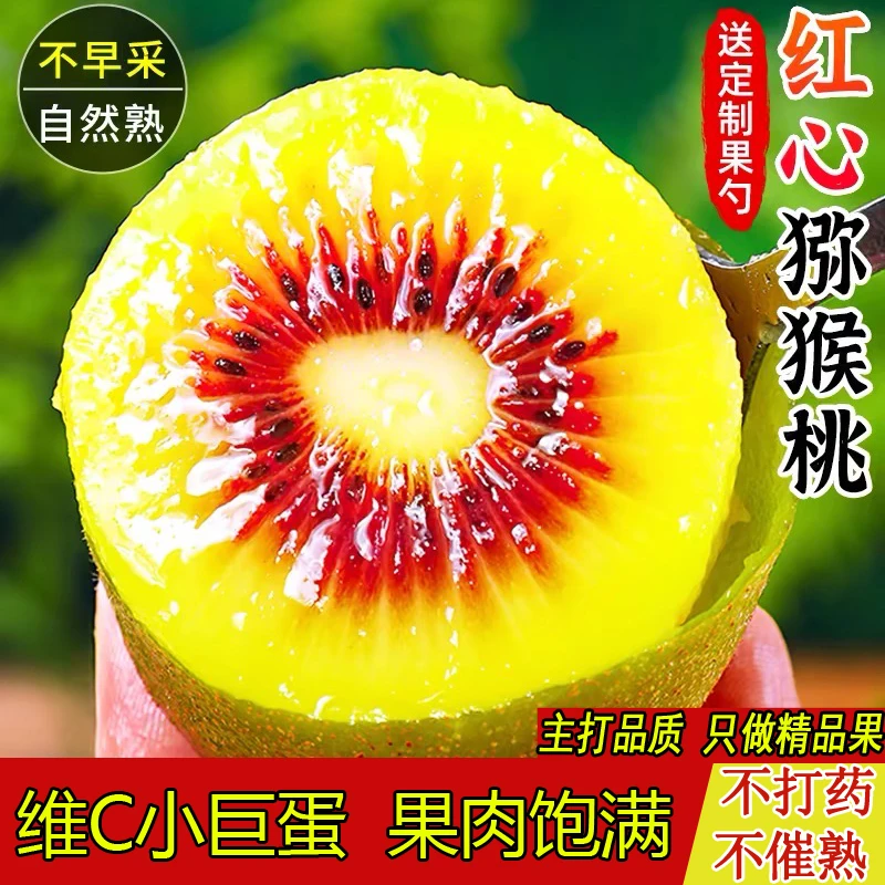 【果园直采】四川蒲江高山红心猕猴桃50-110g放软吃超甜香甜精品果