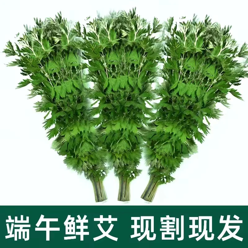 整颗新鲜野生艾草端午插门艾散装整颗家用泡脚原生态挂门窗