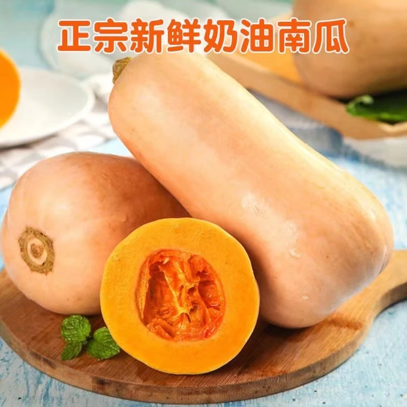 陕西秦岭山阿根廷奶油南瓜新鲜粉糯香甜当季小南瓜5斤包邮
