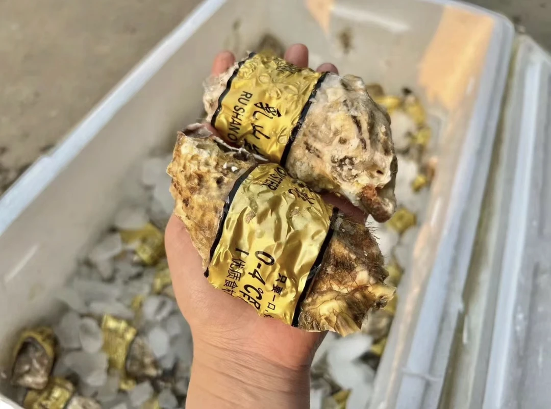 【首播福利】10只3加大生蚝超值购｜保鲜不保活
