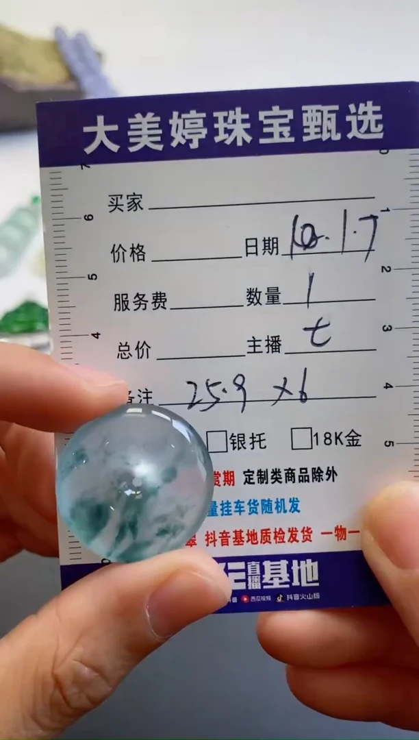 【闪购商品】翡翠颈饰未镶嵌0462050483