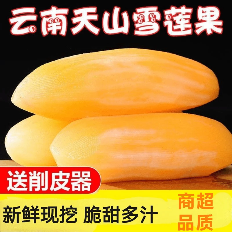 雪莲果商超品质】现挖现发应当季新鲜水果时令云南天山清脆甜多汁