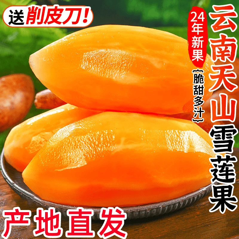 云南天山雪莲果新鲜水果应当季孕妇红心雪连果黄心特整箱甘甜多汁