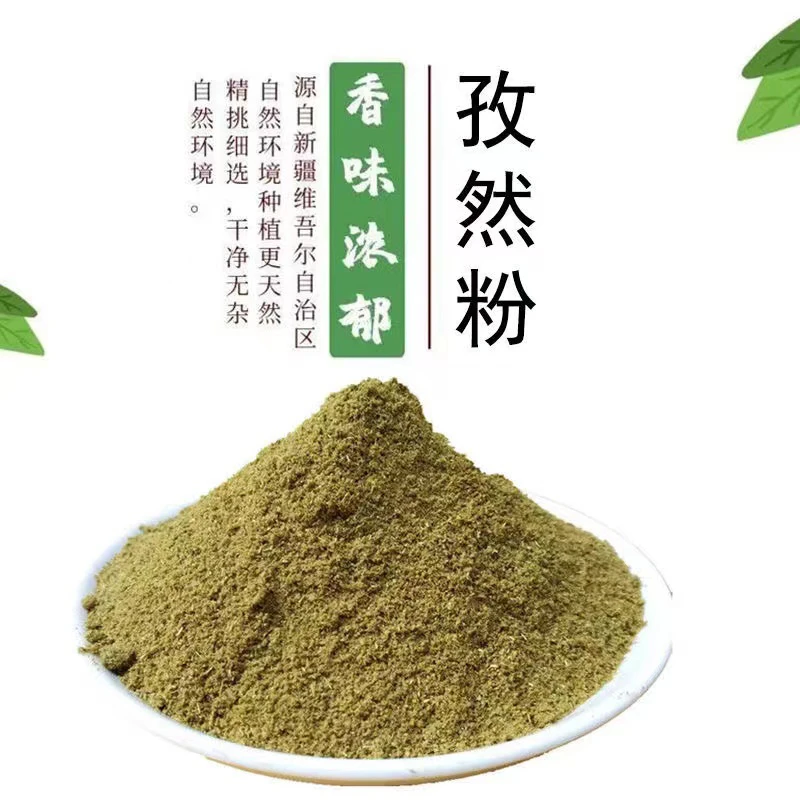 易源鑫孜然粉30g配料味美健康制作烧烤农家香味原味上色
