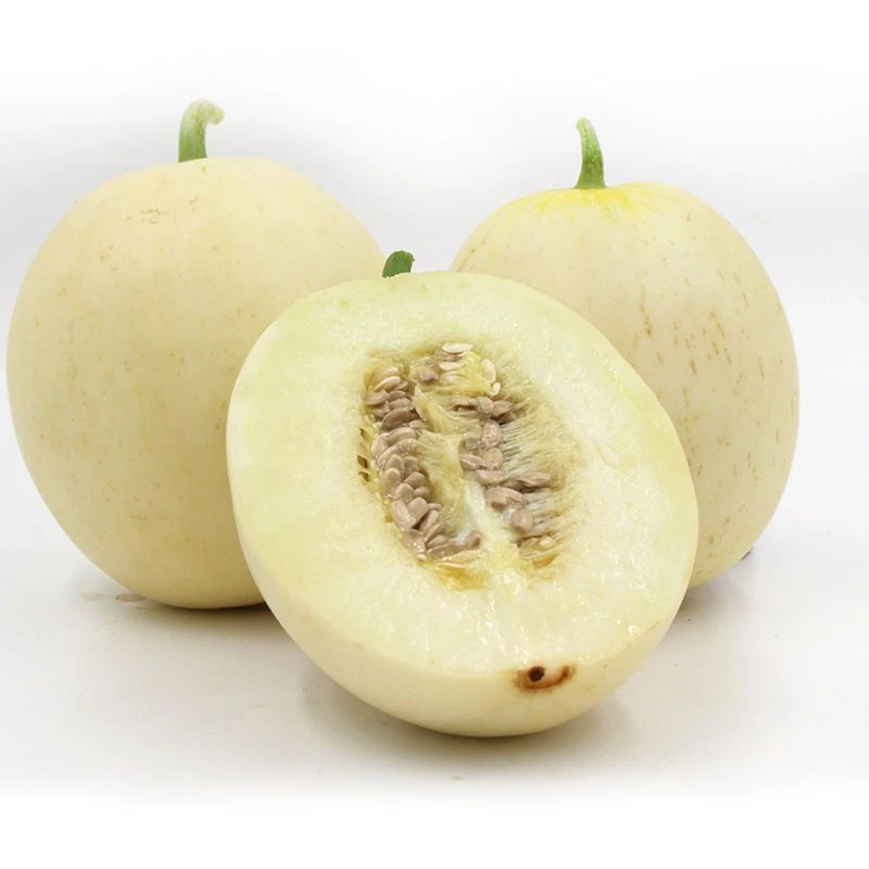 陕西阎良小籽甜瓜新鲜现摘原产地直发5斤/8.5斤包邮