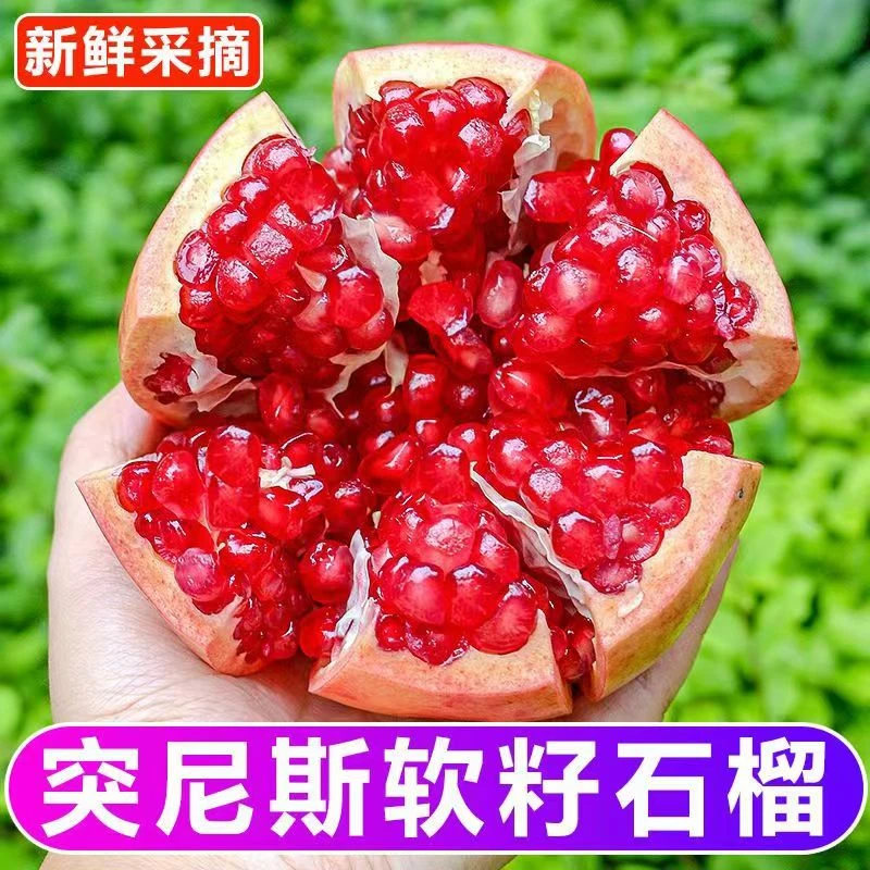正宗四川会理托尼斯软籽石榴 红籽新鲜应季水果皮薄饱满