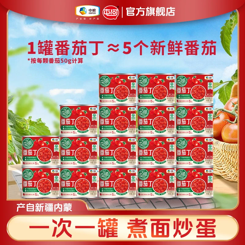 【达人专属！24年新货！】自然熟新疆内蒙番茄丁200g番茄红素中粮屯河