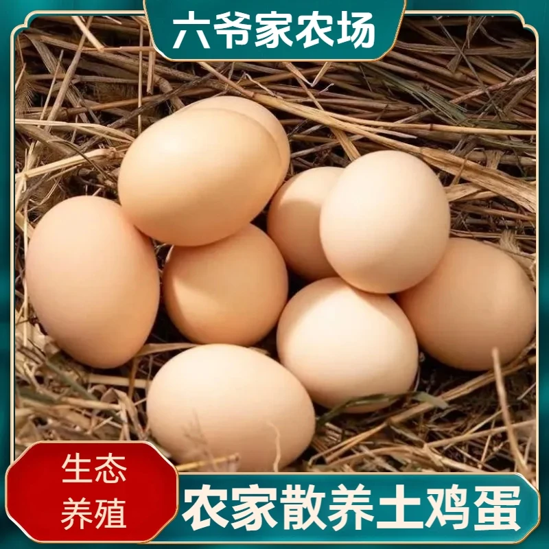 【凤凰土鸡】农家散养土鸡蛋40枚赠10枚共50枚精品单枚净重40克左右