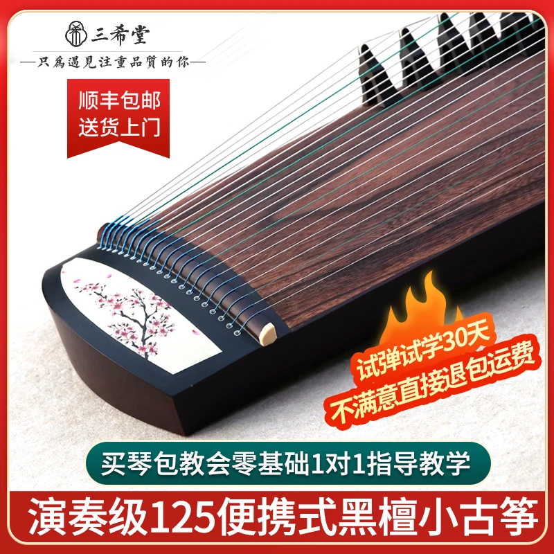 三希堂小古筝迷你便携式小型古筝厂家直销初学专业演奏古筝琴乐器