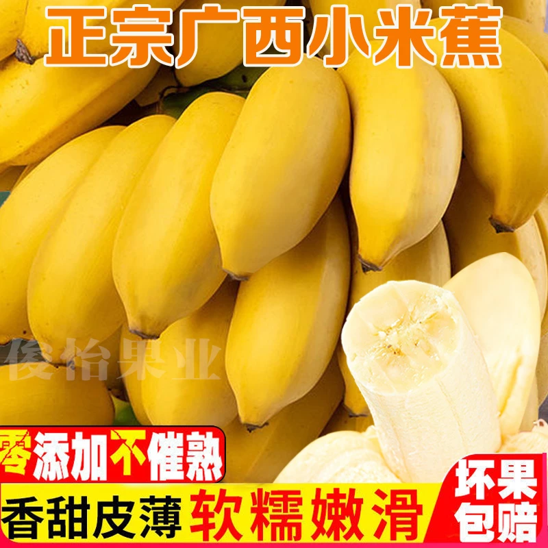 【关注立减五】农家小米蕉现摘现发不打催熟剂自然成熟鲜果1/5/10斤
