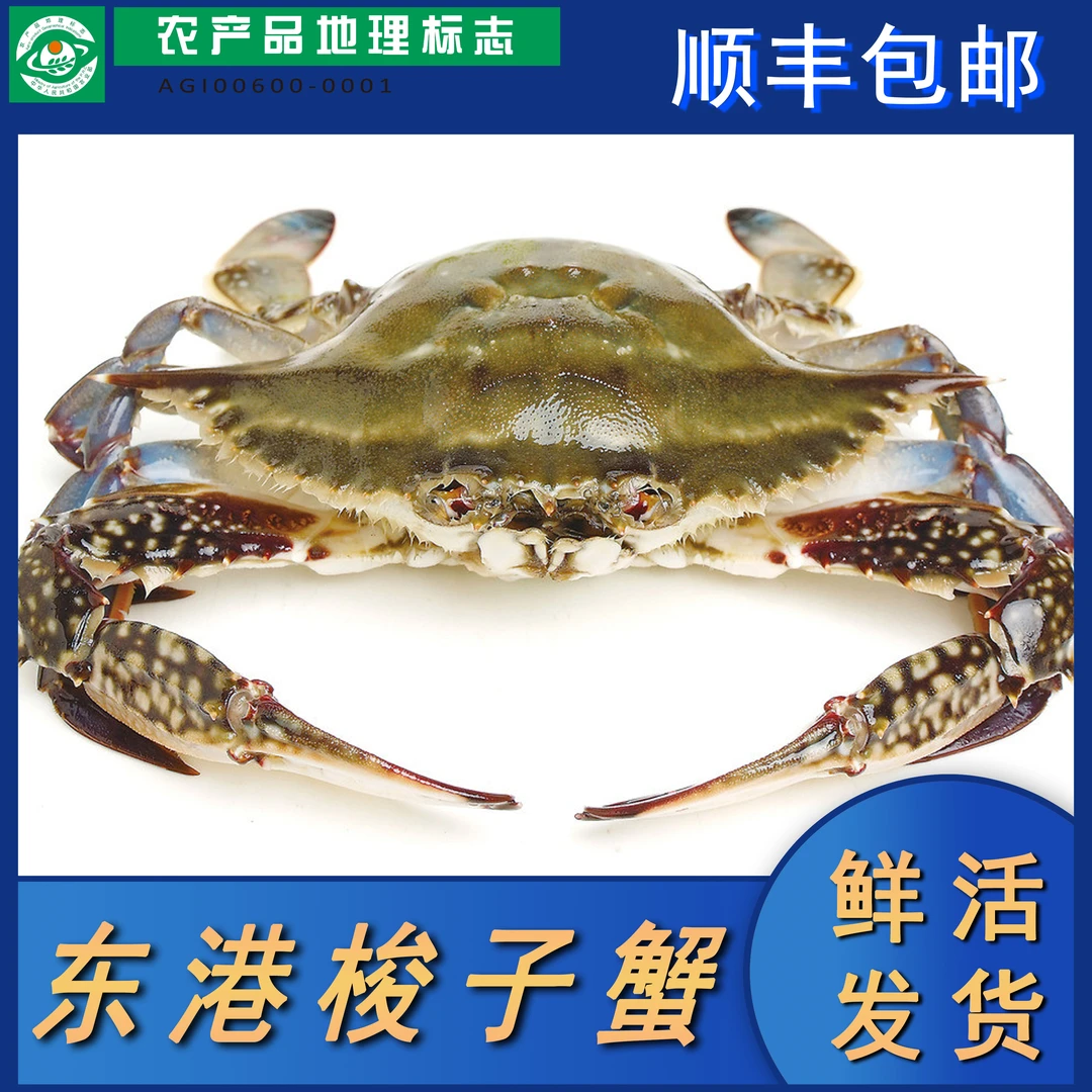 【保鲜不保活】中公蟹3只左右一斤3两左右不保腿全8-9分肉飞蟹