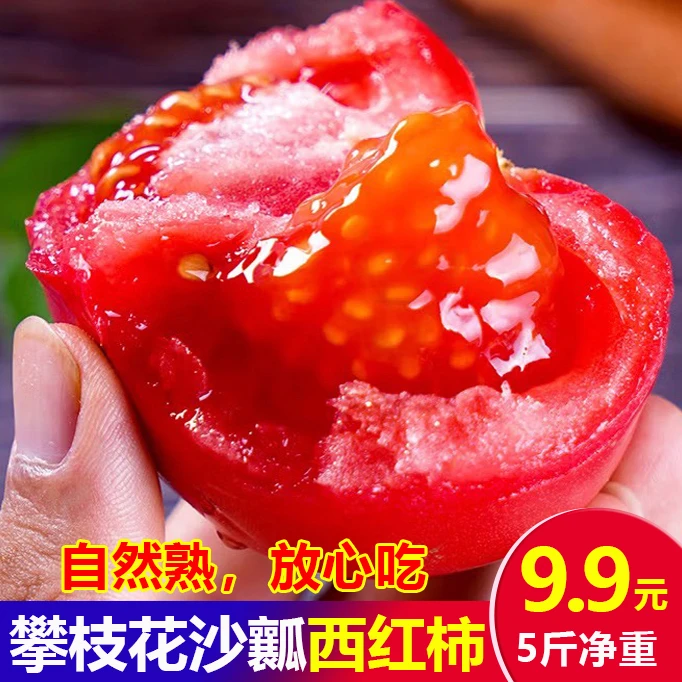 露天种植自然熟攀枝花沙瓤西红柿5斤/9斤净重口感酸甜多汁