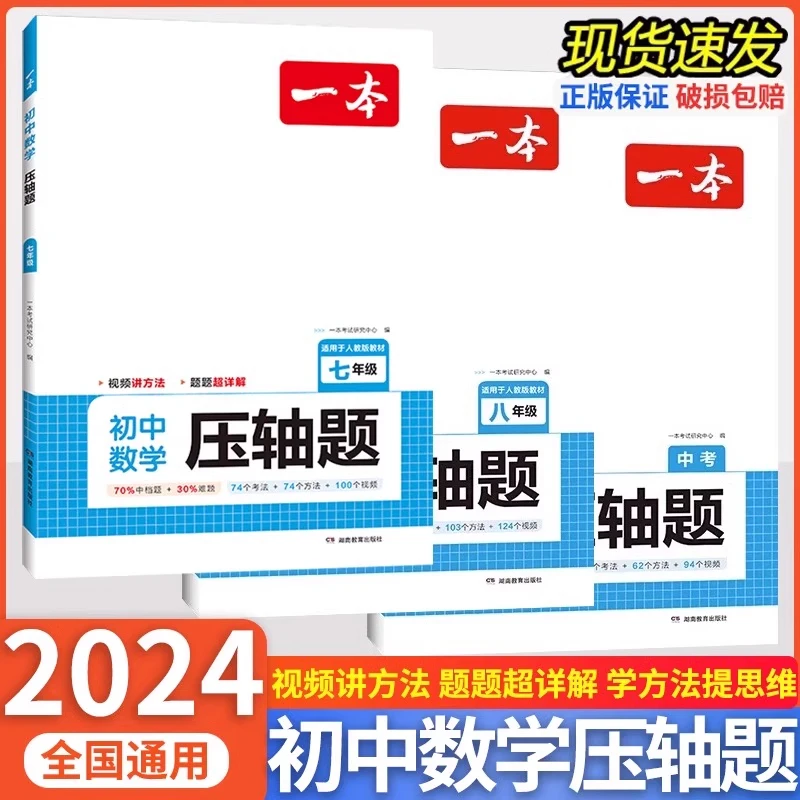 2024版 一本初中数学压轴题七八九人教版全一册解题方法专项训练