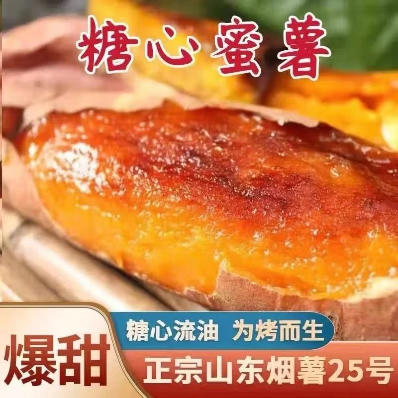 【福利】山东正宗烟薯25流糖流油蜜薯软糯香甜番薯2斤试吃装