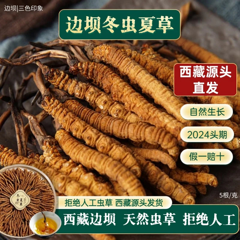 【5根/克】西藏边坝冬虫夏草正宗生态高海拔天然虫草滋补煲汤送礼
