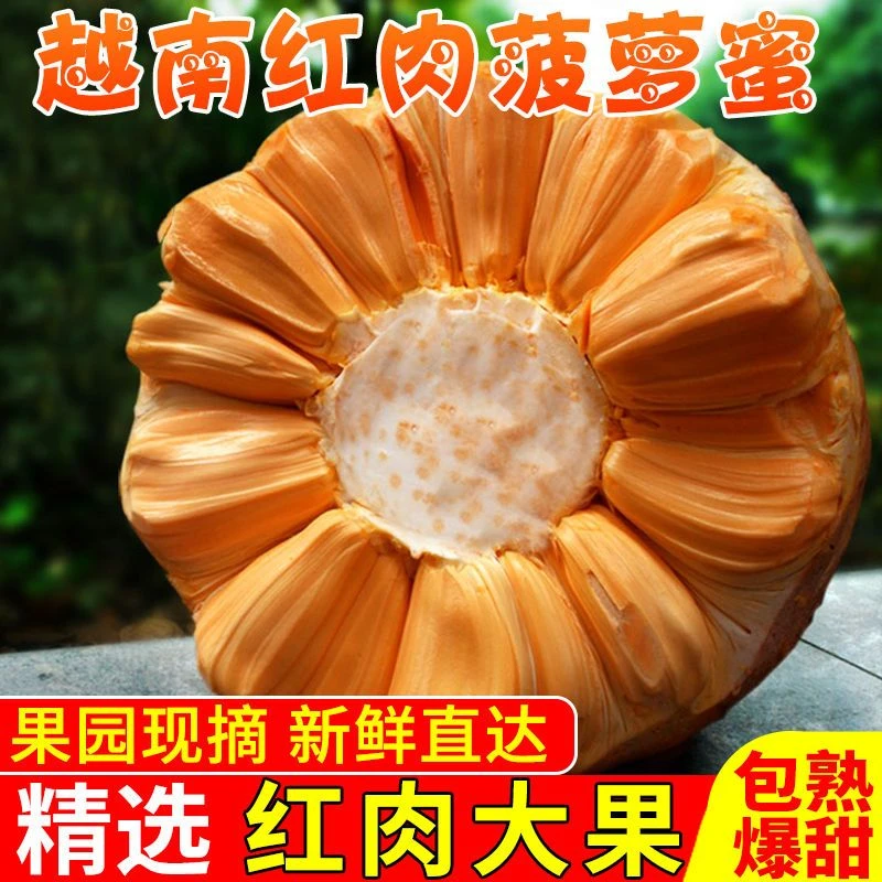 越南红肉菠萝蜜红心菠萝蜜新鲜干苞菠萝蜜红肉印尼红产地直发水果