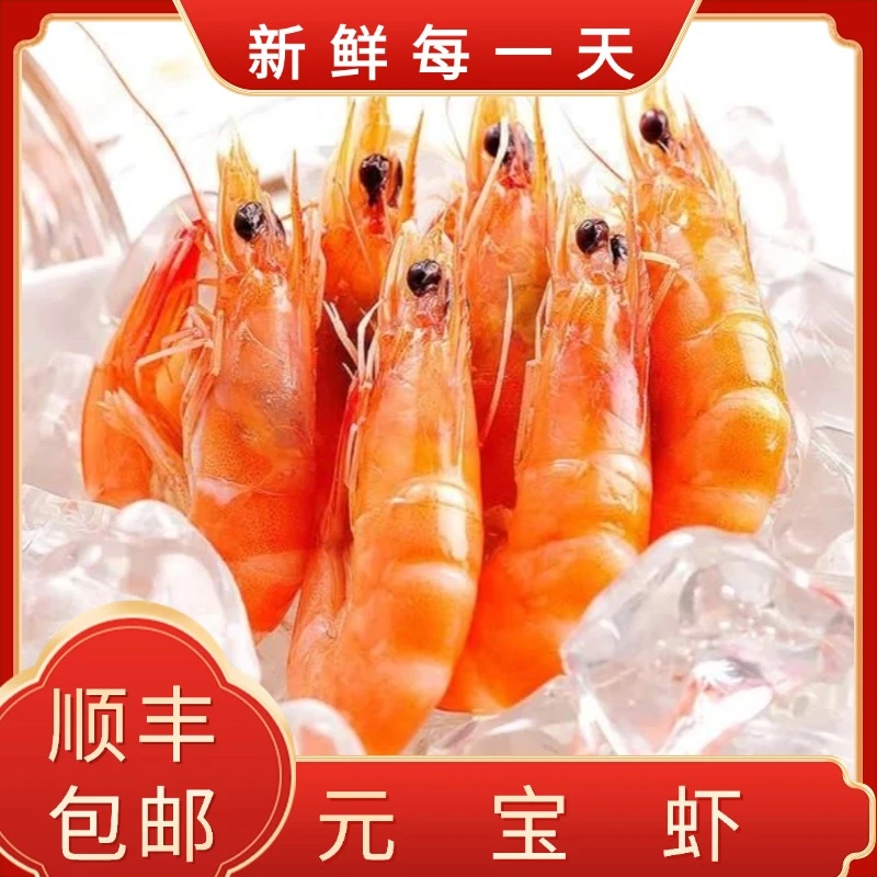 【海鲜皇宫】海藻头北极甜虾 元宝虾 70-90规格 5-10斤