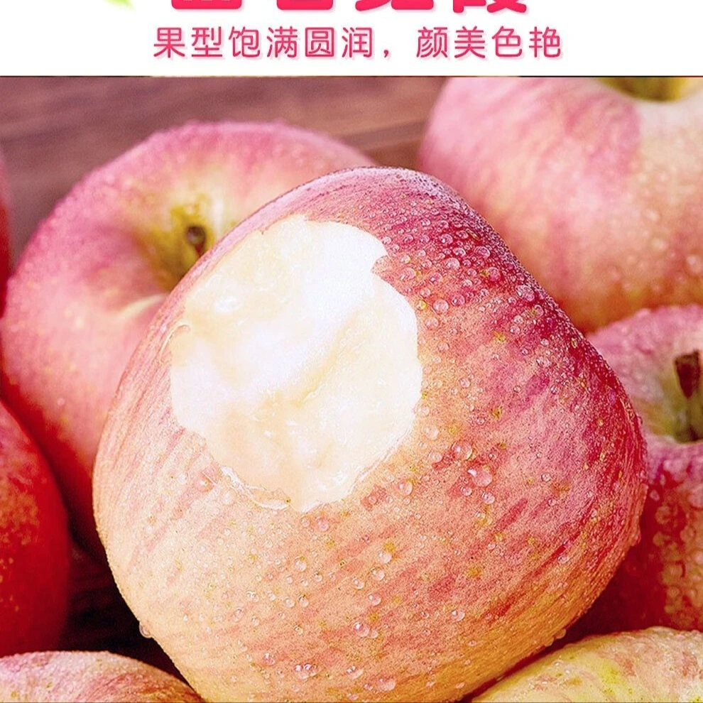 烟台红富士苹果栖霞应季水果新鲜当季整箱青冰糖心丑苹果