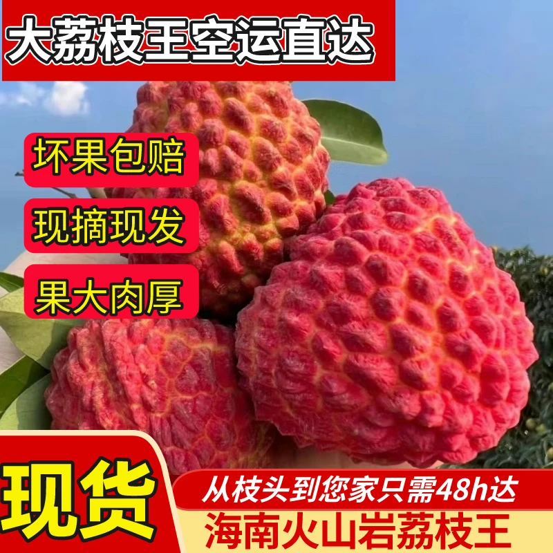甄选正宗海南荔枝王新鲜水果大荔枝空运直达整箱包邮