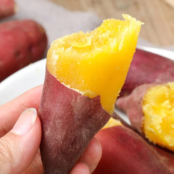 新鲜红薯食用农产品宜兴手指番薯正宗板栗小香薯山芋产地直销