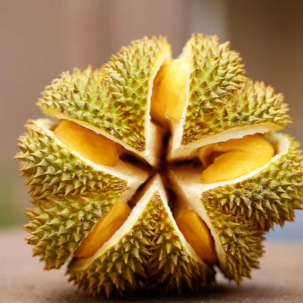 4号 金枕鲜榴莲整果现开,3-8斤,核小,包4房35%出肉率(下单闪送上门!)金枕泰国
