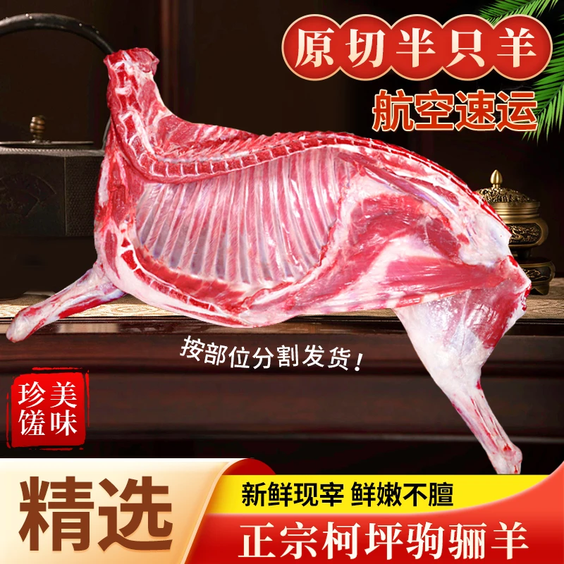 【西域之源】新疆柯坪小山羊半只羊10斤牧场散养精分割空运鲜切包邮
