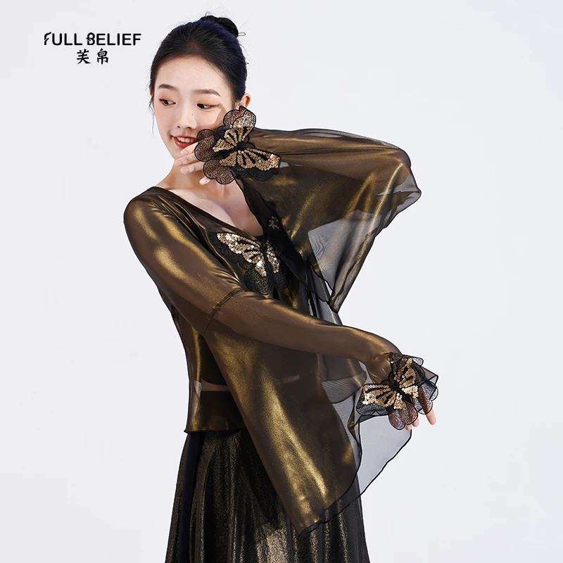 芙帛飘逸舞蹈服纱衣中国舞练功服女身韵亮片蝴蝶雪纺上衣演出服