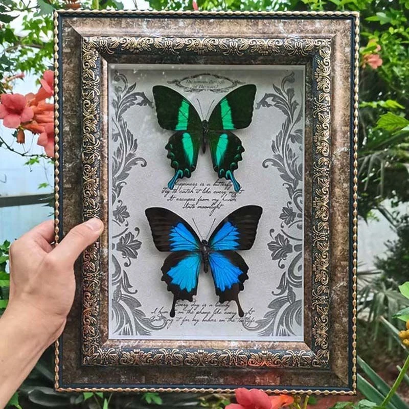 古枼高档真蝴蝶相框欧美天堂爱神进口凤蝶装饰画家居摆件创意礼品