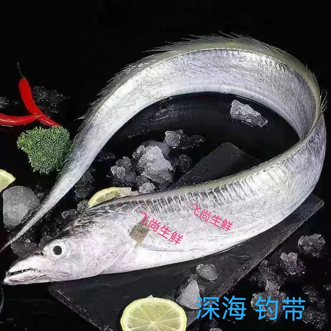 【钓带】新鲜速冻带鱼  5斤    到手11-14条