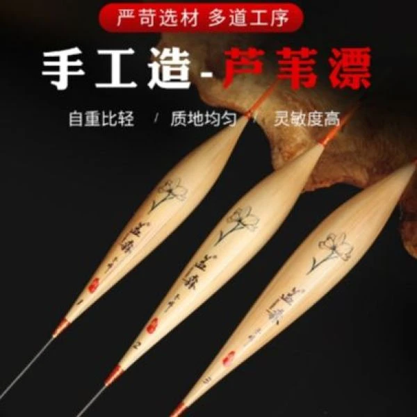 胡子鲤钓鱼盖森鲫鱼芦苇浮漂【拍两支送一支】