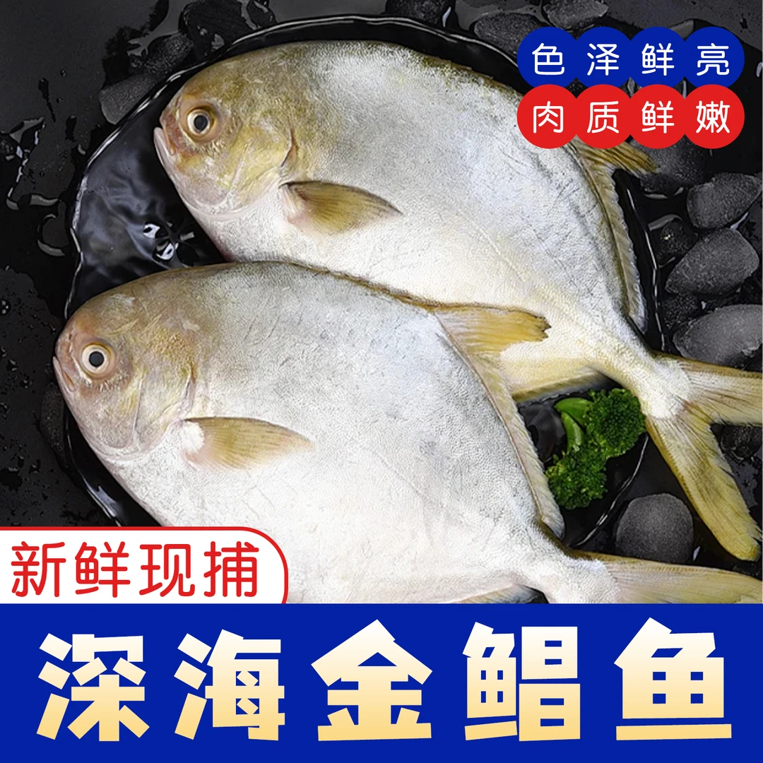 【海捕】金鲳鱼特大鲳鱼冷冻海鱼金昌鱼量贩装 清蒸红烧。到手七大条