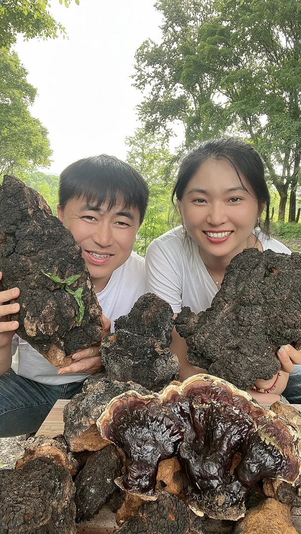 野生深山大块桦树茸(500克)包邮