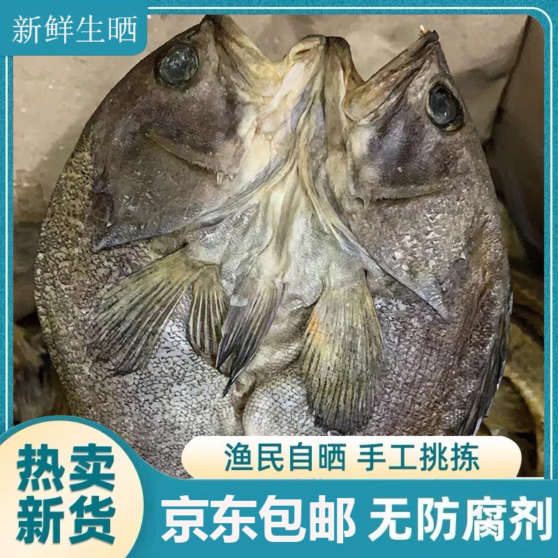 台山特产开片石斑咸鱼干（需泡水30分钟）清蒸渔民自晒海味6-7成干