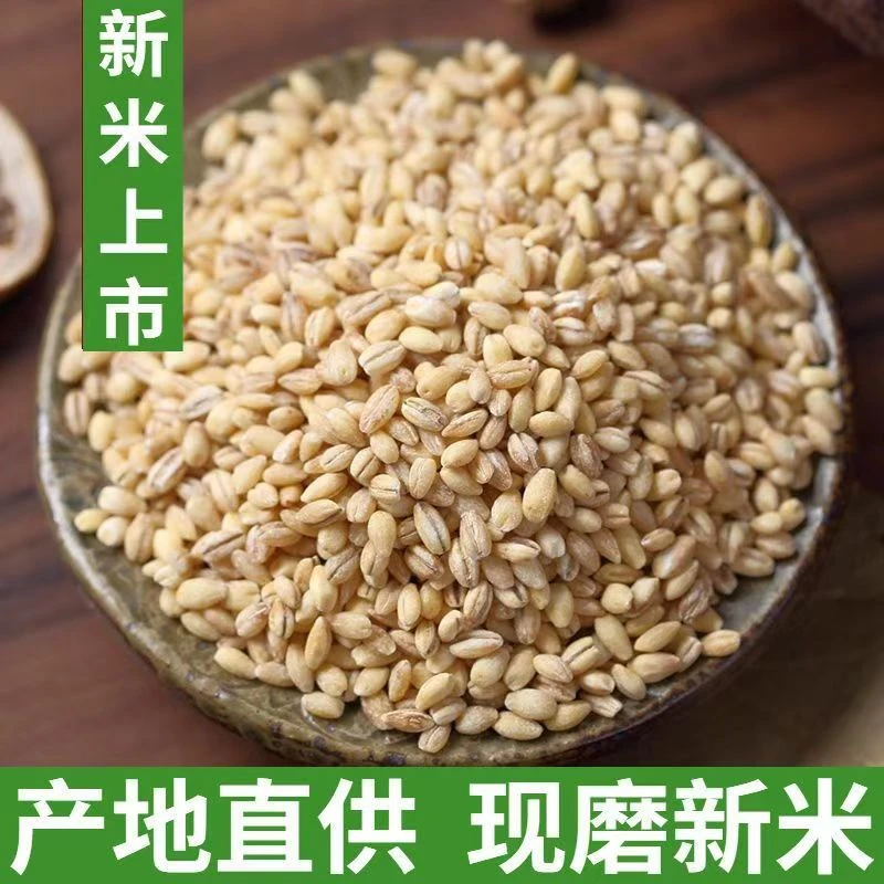 新货现磨大麦仁脱皮农家自种散装去壳去皮大麦米五谷杂粮粗粮包邮