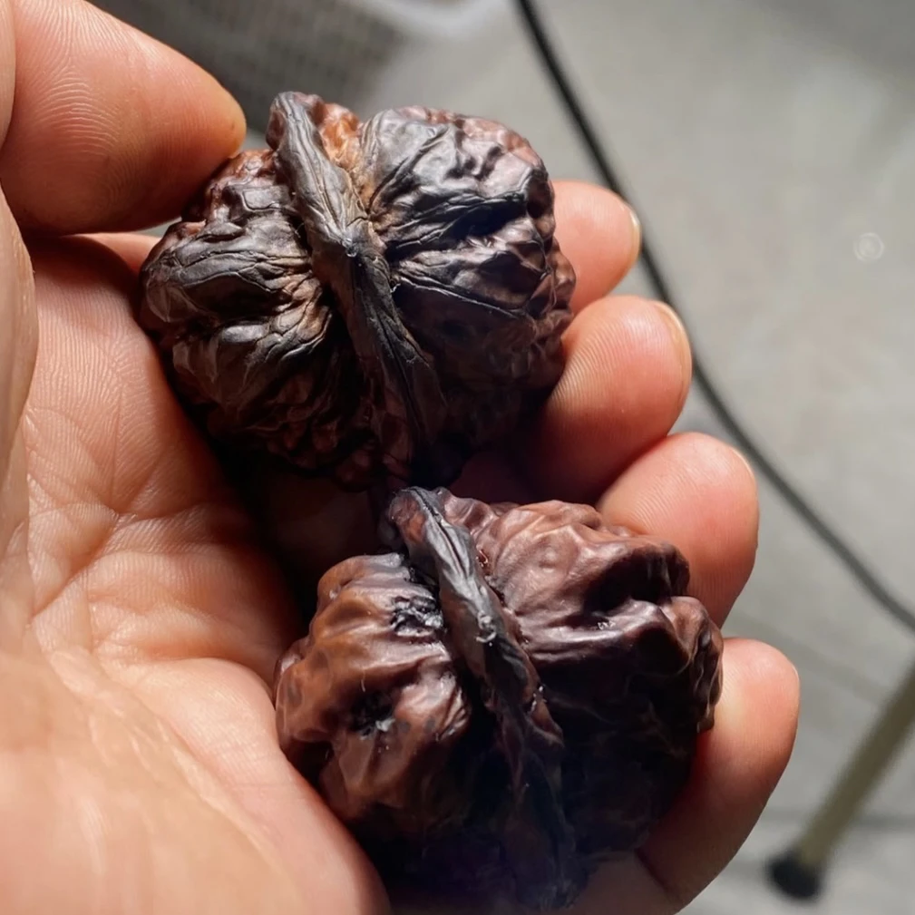 全品延庆老树地闷蛤蟆头 尺寸随机