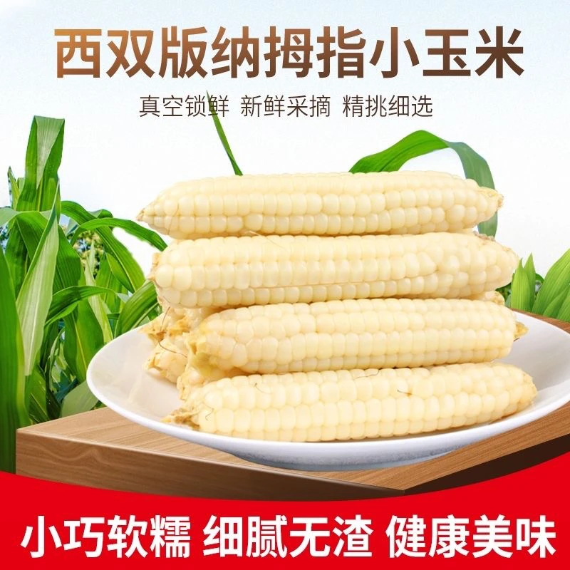 云南西双版纳拇指玉米