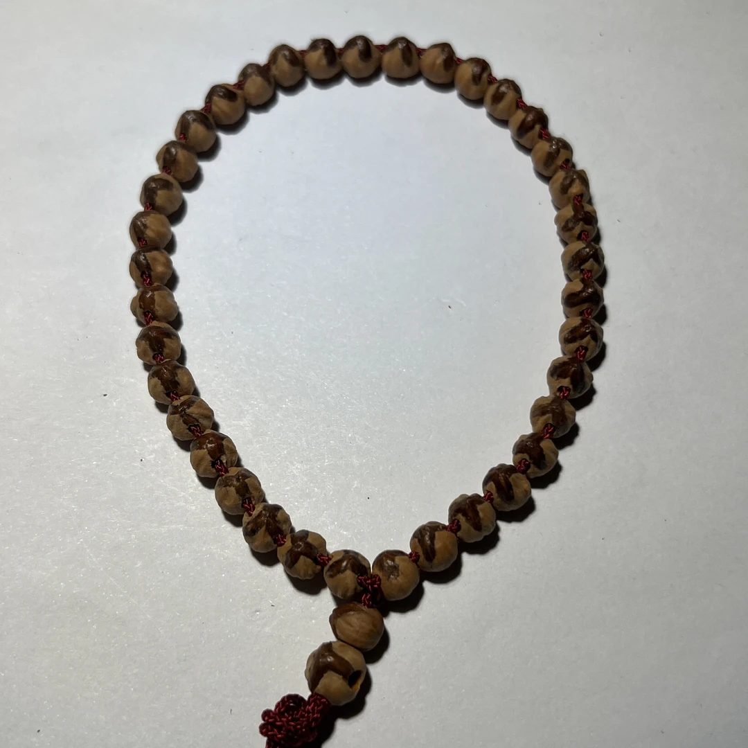 大奔红皮红牙口定制款