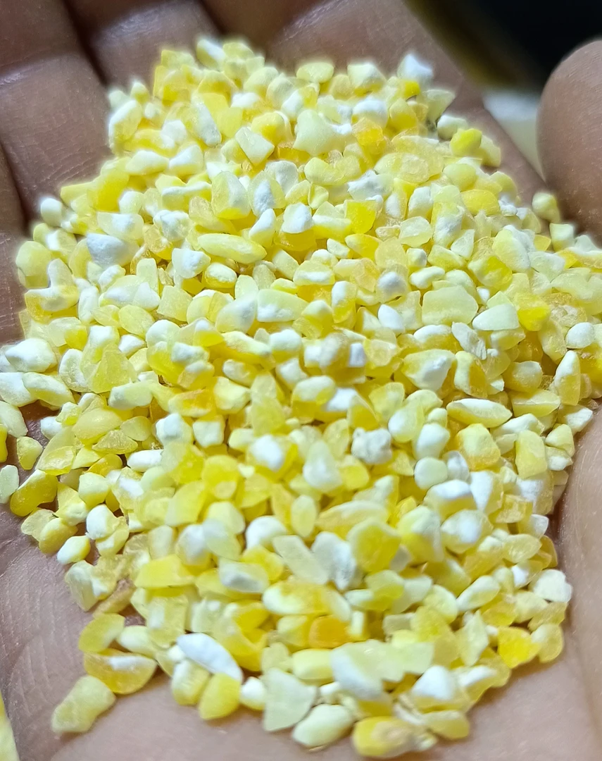 25年新东北粘玉米小粒碴子粘碴子煮粥闷饭营养粗粮