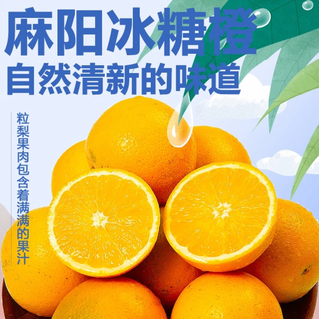 【顺顺专属】湖南麻阳冰糖橙 净重9斤