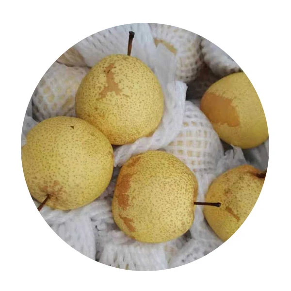 高山蜂蜜梨 约500g