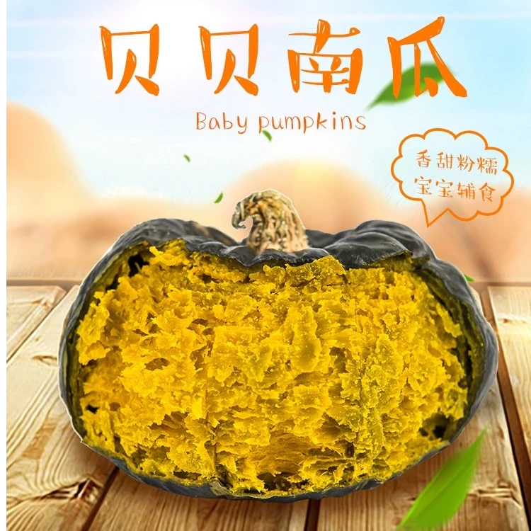 正宗贝贝南瓜5斤（4-7个果）板栗味【不卖假南瓜】