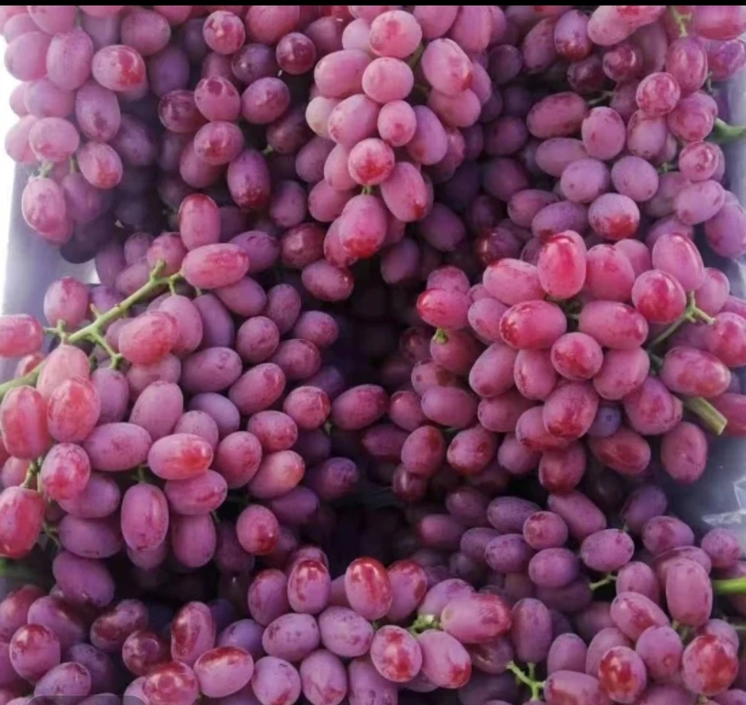 克伦生国产无籽红提 约一斤