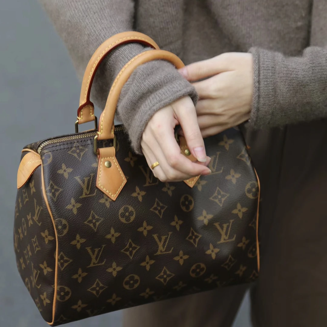 95新 LouisVuitton/路易威登 LV 老花25手提973426