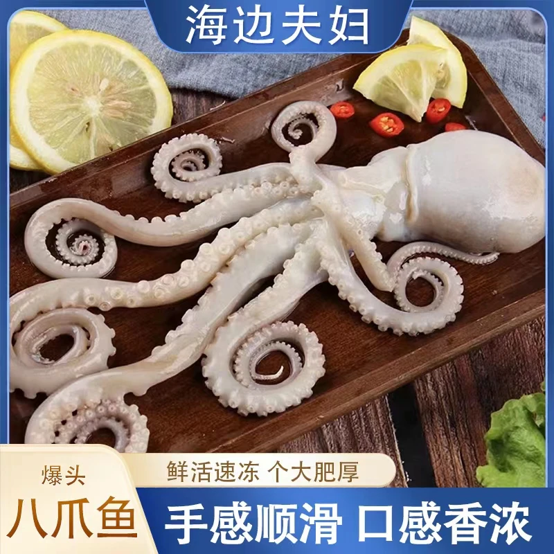 【海边夫妇】新鲜速冻美味  爆头八爪鱼 3斤