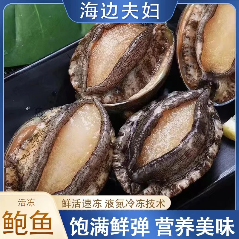 喜哥喜嫂  连云港发货 新鲜冷冻 活冻鲍鱼  8只/包*2包