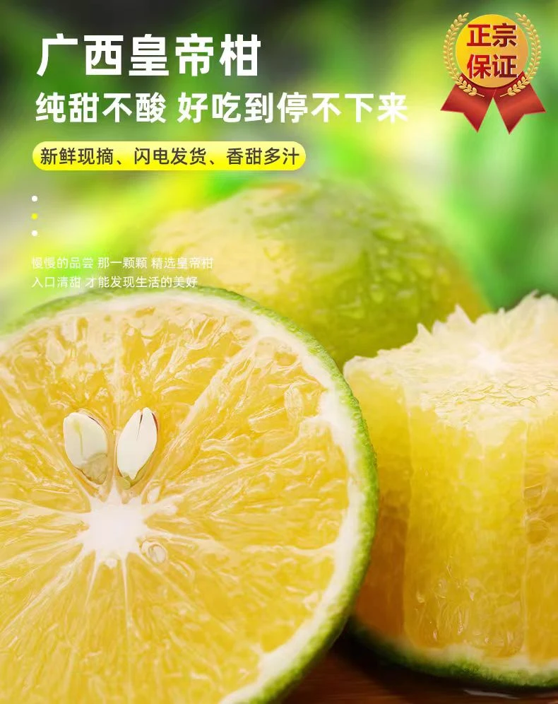 正宗广西皇帝柑大果10斤新鲜水果当季整箱蜜桔柑橘桔子橘子沃5柑